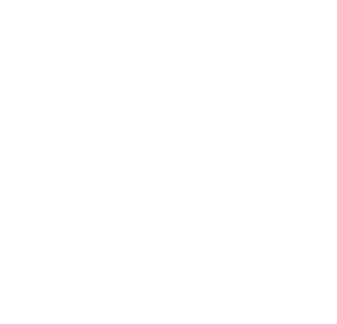 Logo - Alex Home Services